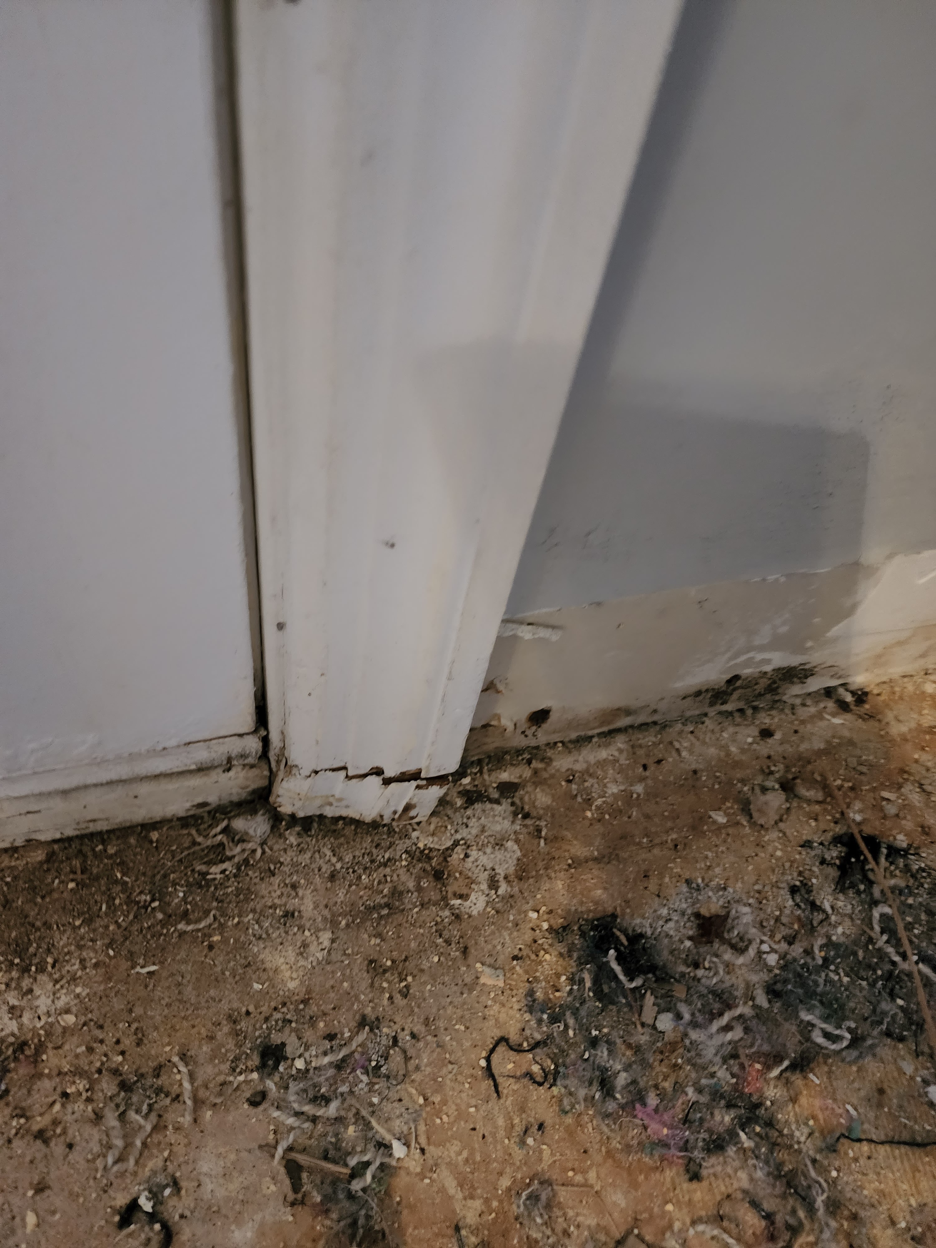 Flood Damage to Trim - Before