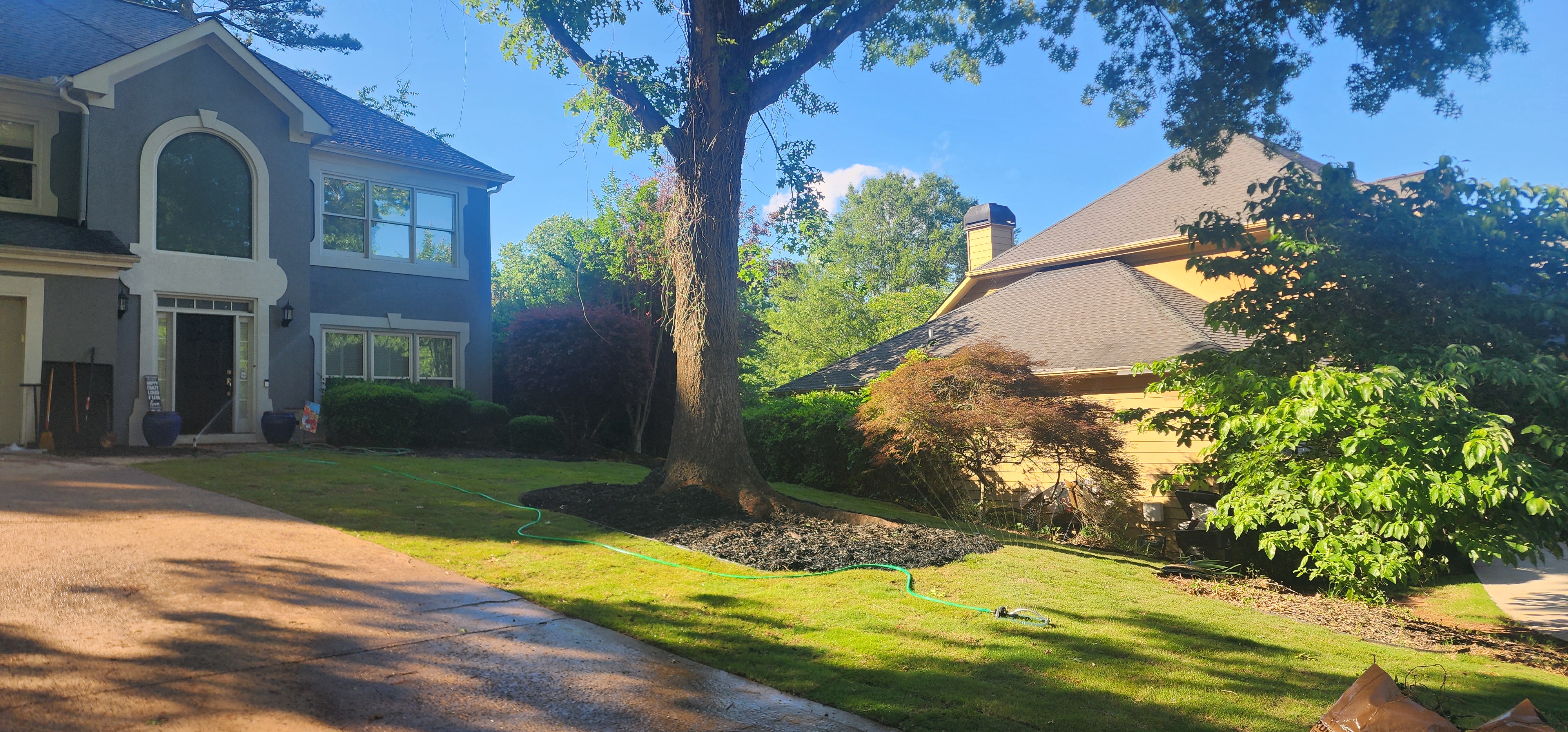 Yard Resodded - After