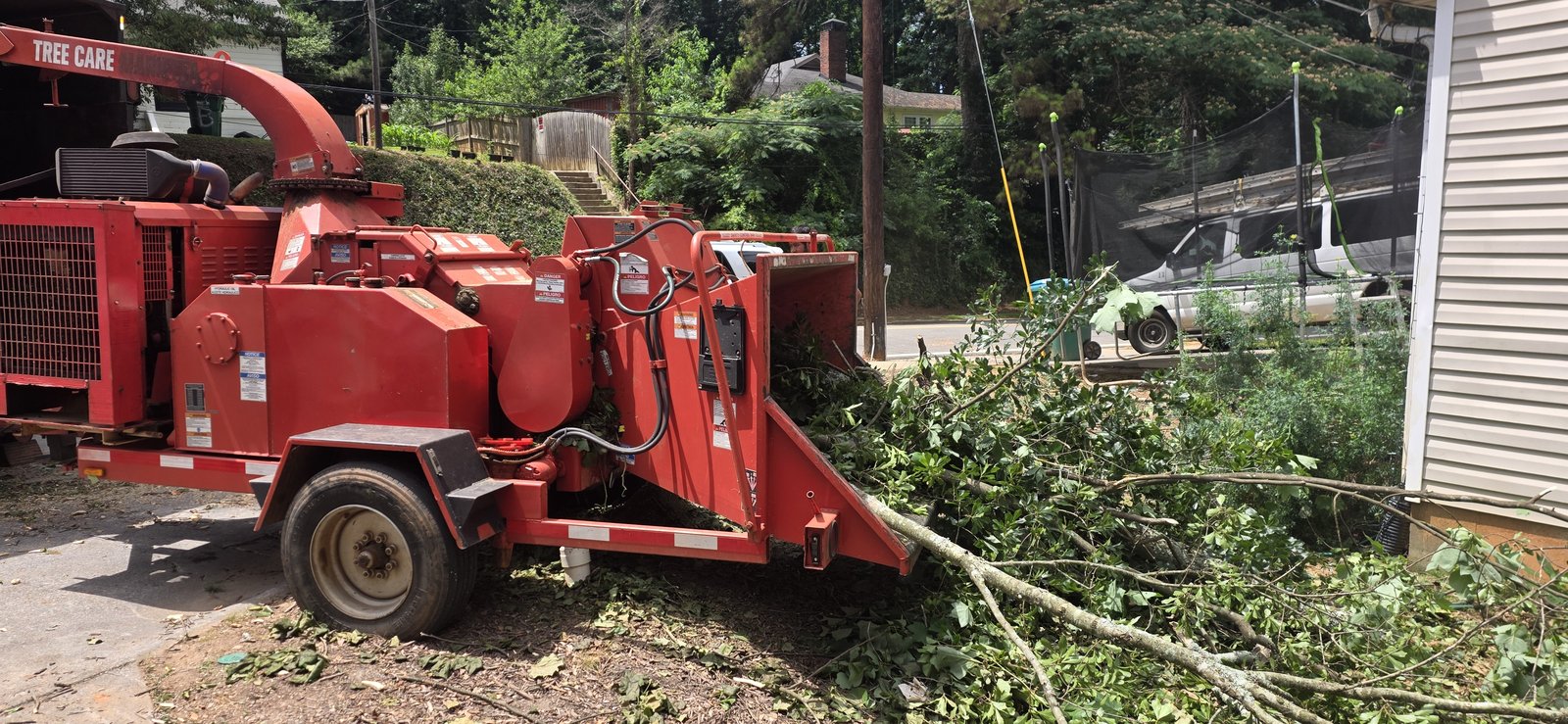 Tree Removal Service