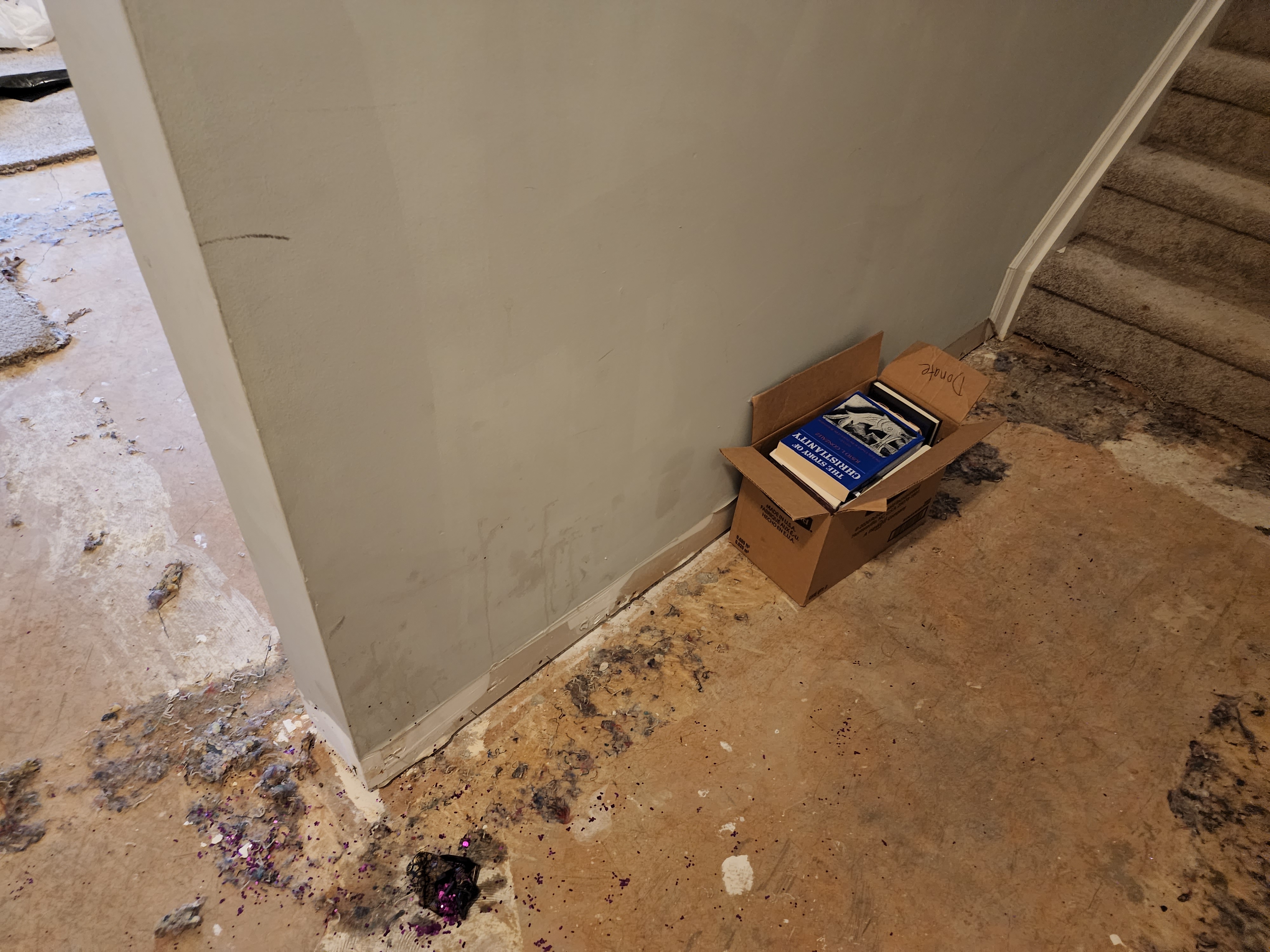 Basement Water Damage - Before